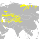 زبان ترکی چندمین زبان دنیاست