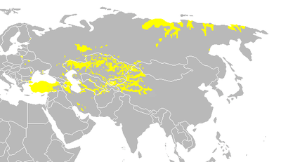 زبان ترکی چندمین زبان دنیاست