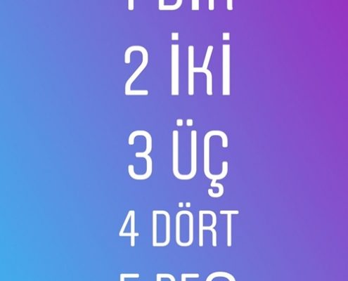 کلمات پرکاربرد زبان ترکی استانبولی