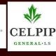 آزمون CELPIP چیست ؟