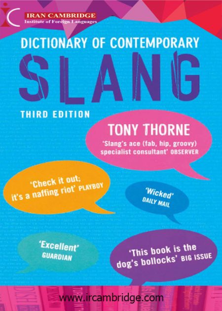 دانلود کتاب Dictionary of Contemporary Slang