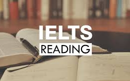 نکات کلیدی Reading آیلتس