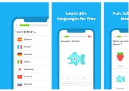 اپلیکیشن برتر برای یادگیری فرانسه