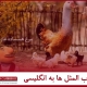 ضرب المثل های فارسی به انگلیسی video